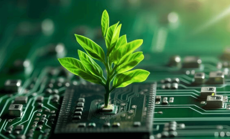 The Role of Tech in Combatting Climate Change