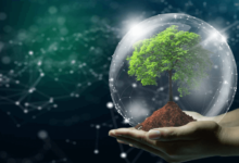 The Role of Tech in Enhancing Environmental Sustainability
