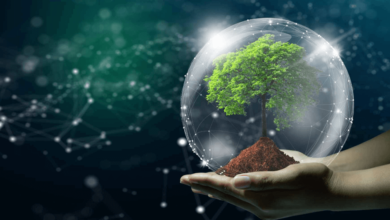 The Role of Tech in Enhancing Environmental Sustainability