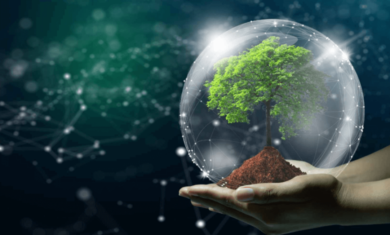 The Role of Tech in Enhancing Environmental Sustainability