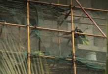 advanced tools and frameworks