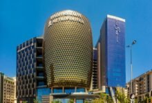 business insight and momentum