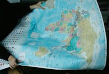 digital momentum expansion strategy