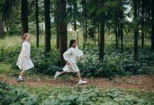 digital momentum winning path