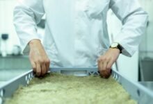 innovation for future growth