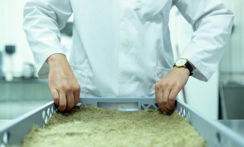 innovation for future growth