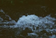 momentum of radiant stream