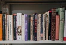 performance insight authority analysis