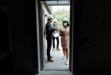 rapid builder market growth