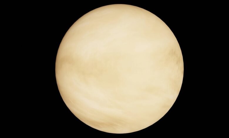 stellar profit orbit path