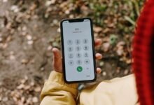 phone number summary contact details
