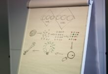 understanding 3478195586 step by step decoding numerical identifier methodically