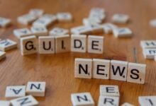 what is 9159003556 guide